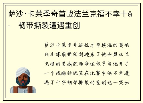 萨沙·卡莱季奇首战法兰克福不幸十字韧带撕裂遭遇重创
